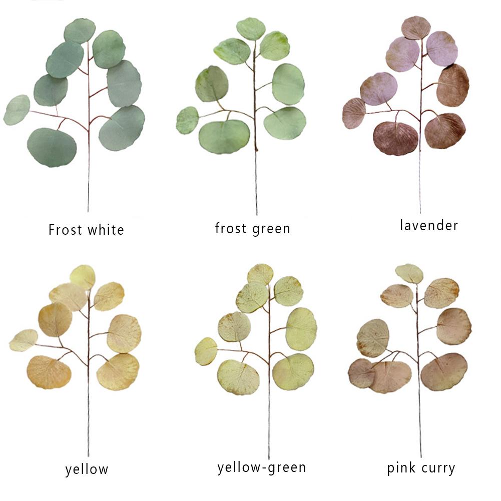 Simulation Eucalyptus Colored Leaves Photo Shoot Photography Background Props Tabletop Home Decor