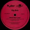 12-дюймовая пластинка BIG BUB - Need Your Love U1256129 Universal Recor 1997 США Рэп и Хип-Хоп/R&B Б/У