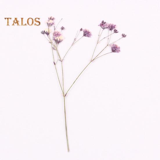 Сушёные цветы для рукоделия 12шт