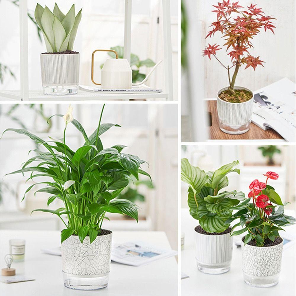 Transparent Self-watering Plants Pot Green Plants Lazy Flower Pot Garden Supplies