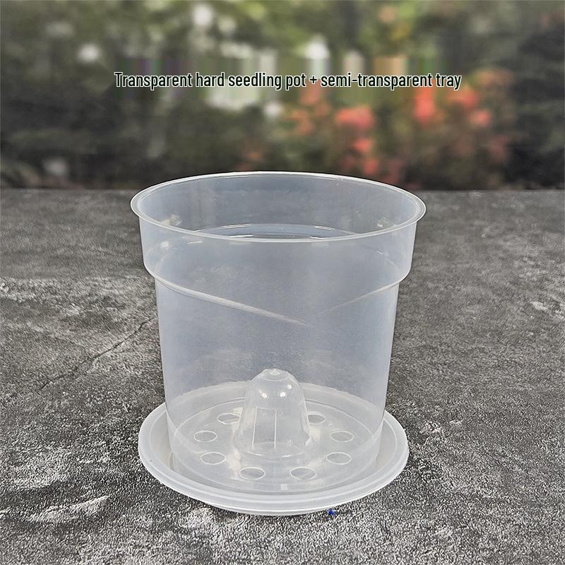 Transparent Orchid Seedling Pot with Drainage and Root Control