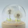 Floral Glow Garden Dome – 2 Dandelions – LED USB