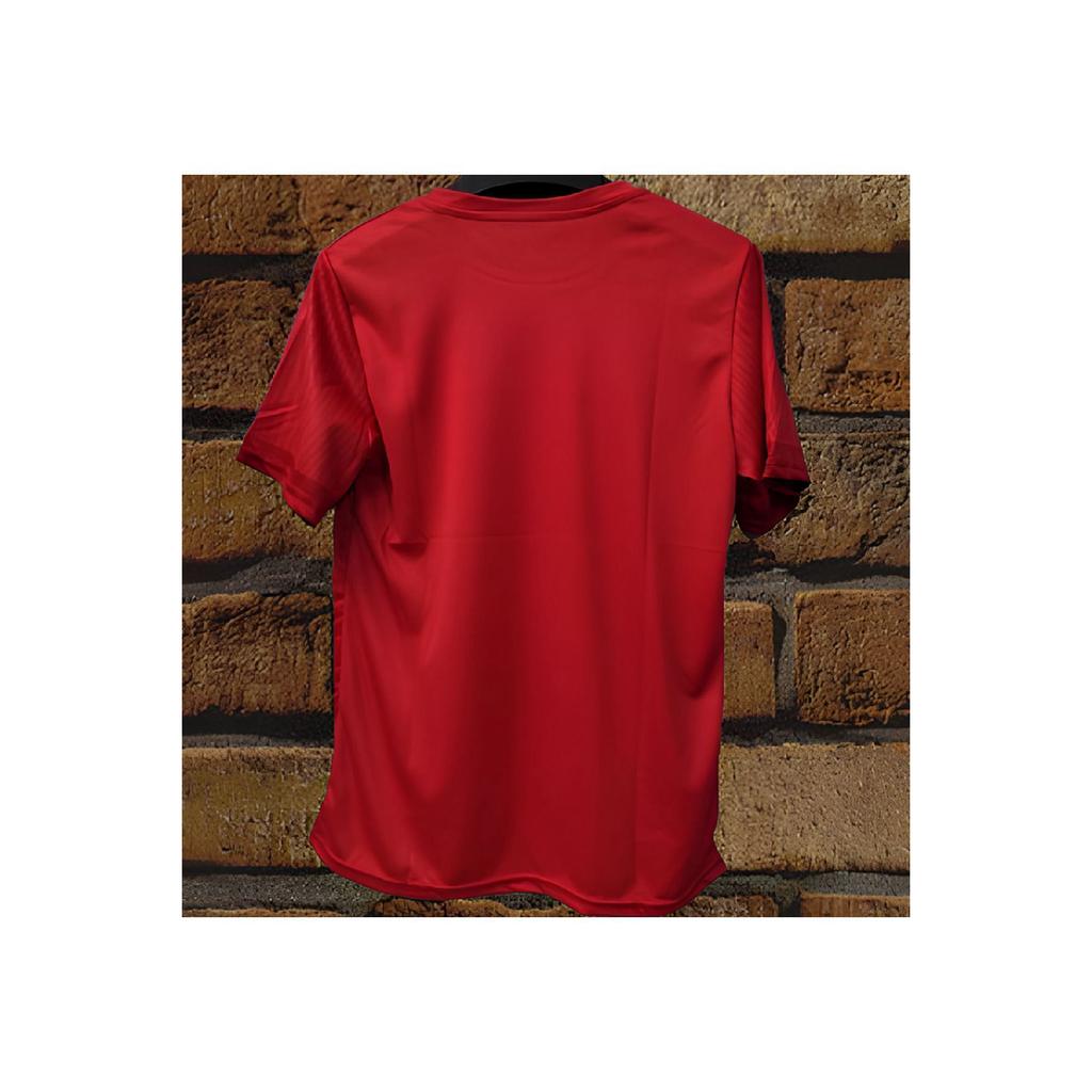 Trkiye Euro 2024-25 Jersey New Season