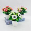 Artificial Mini Peony Potted Flowers For Indoor Home Styling Photography Session