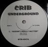 12-дюймовая пластинка JANET JACKSON / DMX & SISQO - Doesn't Really Matter / What You Wa MTM4047 Crib Undergroun US Рэп и хип-хоп/R&B Б/У