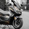 Используется для мотоцикла HONDA FORZA 350 Аксессуары Защитные наклейки с рисунком-линией Комплекты обтекателей Зона покраски