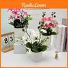 Butterfly Artificial Orchid Plant Indoor Decor  For Home Living Accent Room