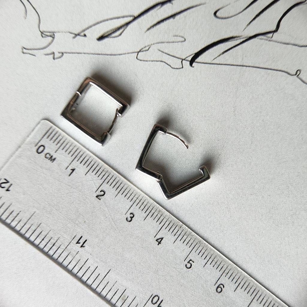 Silver Earrings with Cubic Zirkonia (2184201)