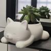 Забавный 3D-печатный цветочный горшок в виде кошки Милые украшения Коробка для хранения в форме кошки Многофункциональное украшение Мини-горшок для растений Для использования на кухне