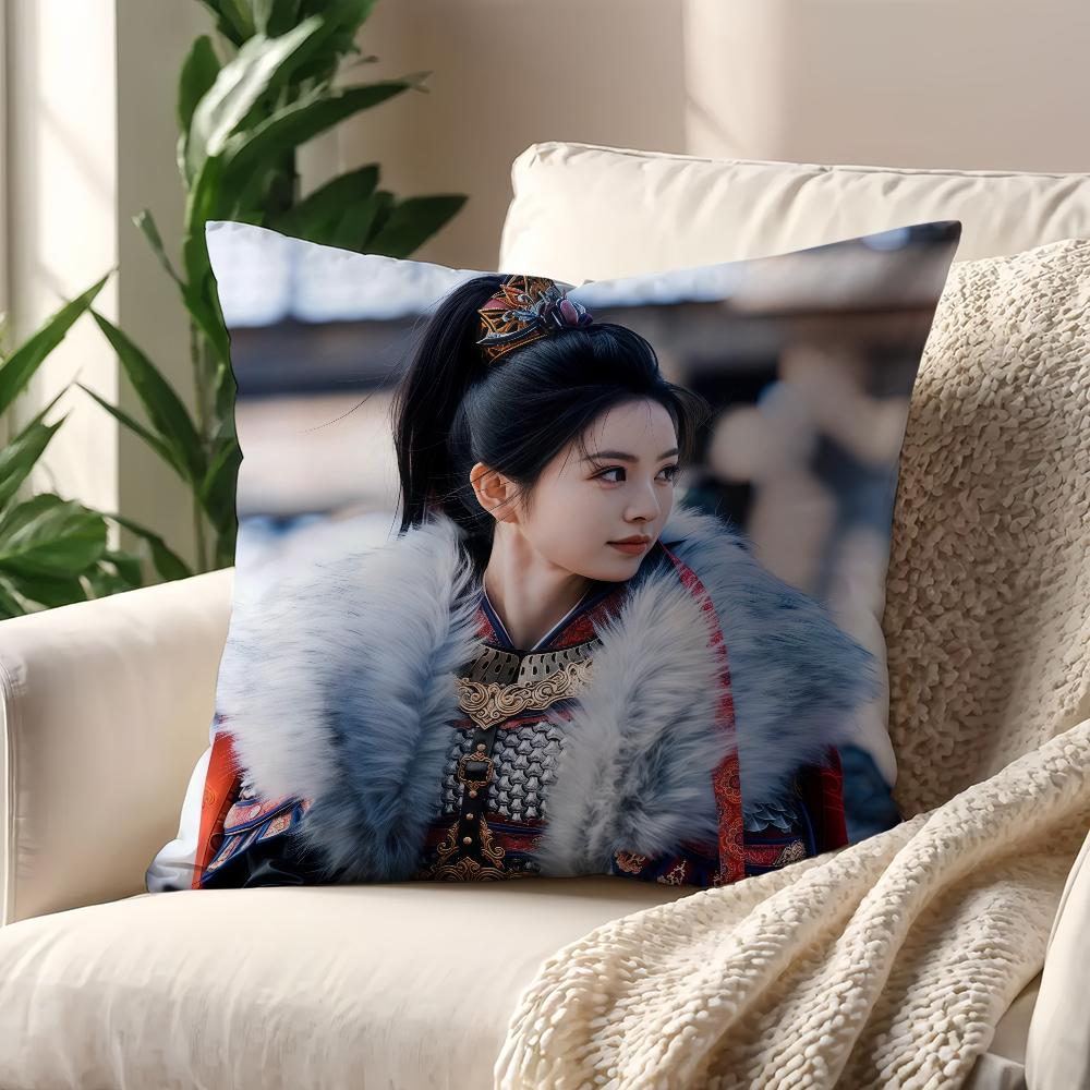 TV Pursuit of Jade Fan Changyu cushion cover For Pillow Printing Sofa Decoration Home Room Coffee Shop Office Nordic Simplicity