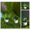 Simulation Plants Simulation Potted Plants Mini Dollhouse Green Plant Mini Tree Potted  Kids Gift