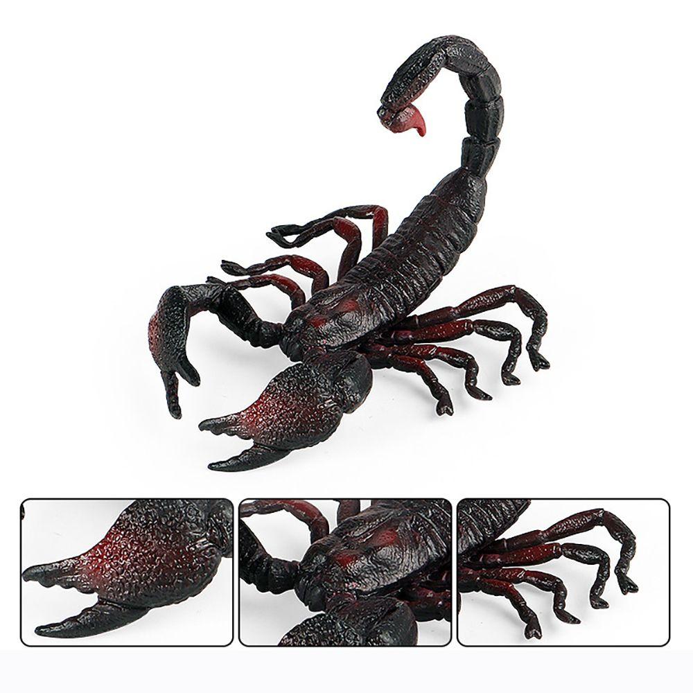 Scenes Making Educational Toy Insect Figurine Halloween Supplies Scorpion Model Kids Cognition