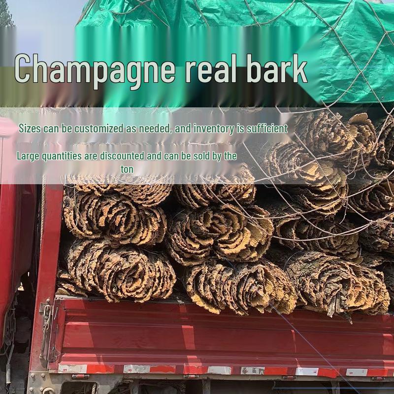 Natural Champagne Cork Bark Decoration Panel for Reptile Hiding & Aquascaping