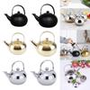 Stainless Steel Teapot with Infuser Short Spout Pour Over Coffee Kettle Stovetop Kettle Round Coffee Tea Pot Easy To Use