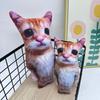 Плюшевая подушка-плед 'Милые животные' El Gato Животные Плюшевые Мягкие Набитые Кошачьи для Объятий Игр Используется для Домашнего Декора