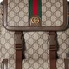 Gucci Ophidia Золотой Тон Аксессуары Двойная Буква G Логотип Холст и Кожаная Отделка Рюкзак Маленький Мужской рюкзак Коричневый 792114-FADMF-9794