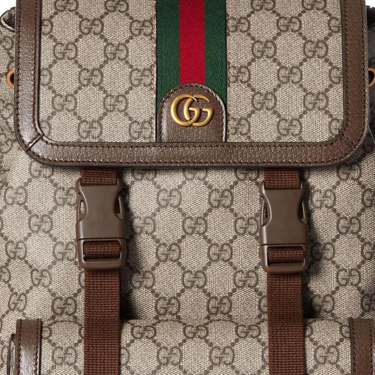 Gucci Ophidia Золотой Тон Аксессуары Двойная Буква G Логотип Холст и Кожаная Отделка Рюкзак Маленький Мужской рюкзак Коричневый 792114-FADMF-9794