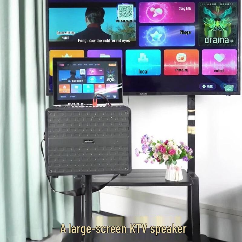 SAST SW92 Portable Outdoor Karaoke Speaker System (CN version)