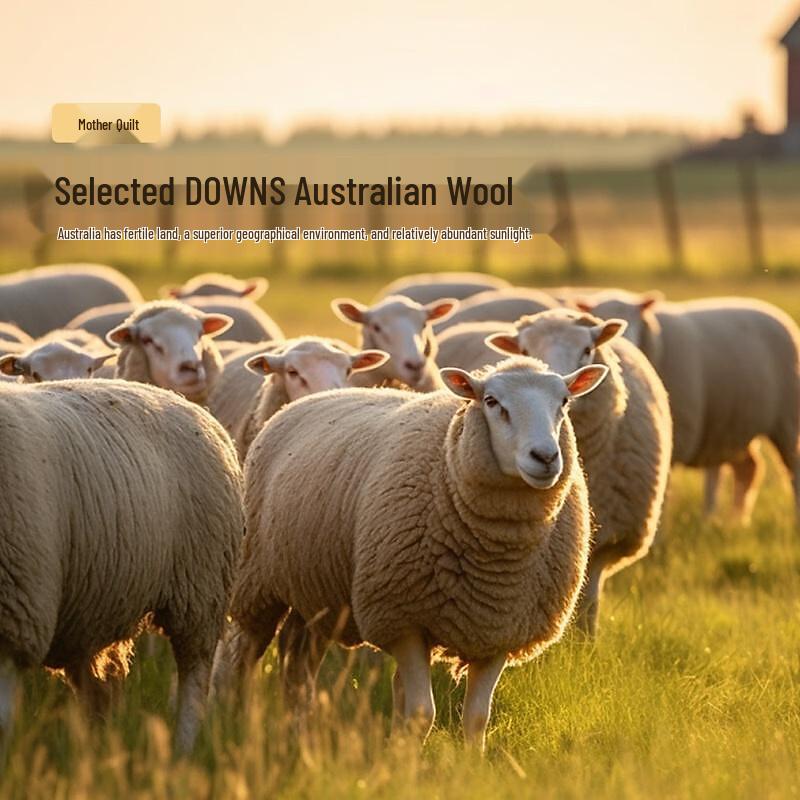 Mercury Home Textiles Silk & Wool Blend 2-in-1 Duvet