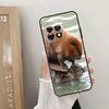 Animal Beaver Case For OnePlus 12 11 9 10 Pro 9RT 10T 10R 12R OnePlus Nord 2 CE 3 Lite CE4 N10 N20 Cover