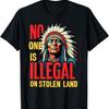 Коренные американцы Никто не нелегал на украденной земле Футболка17