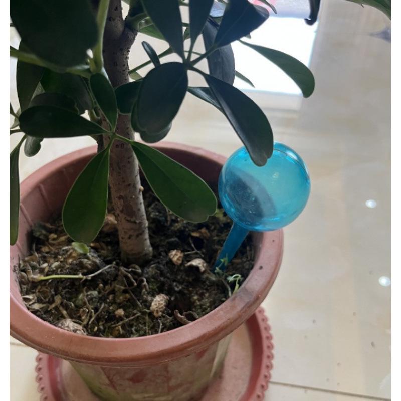 Automatic Flower Watering Globe – Ideal for Travel and Home Use. Contact Customer Service for Color Options.