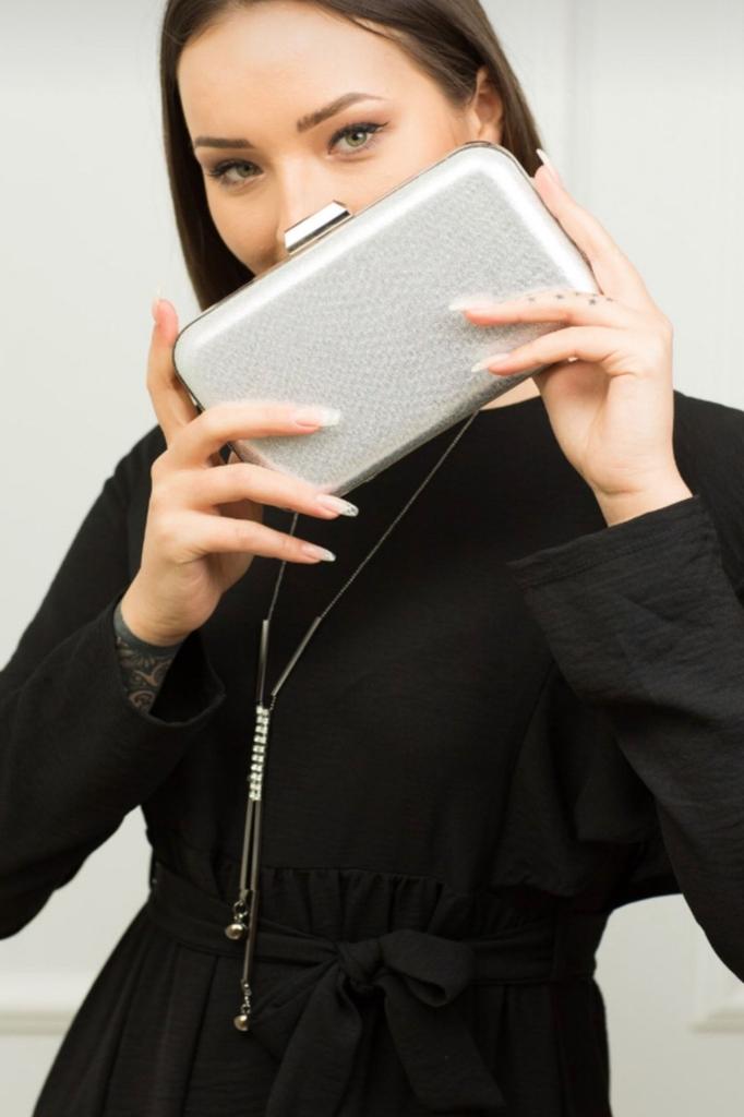 Women's Stylish and Useful Evening Dress Bag Women's Evening Dress Silver Case Bag