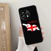 Чехол Georgia Grunge Flag для OnePlus Nord CE 4 3 2 Lite 2T N10 N20 N30 OnePlus 12 11 9 10 Pro 8T 10T 12R Cover