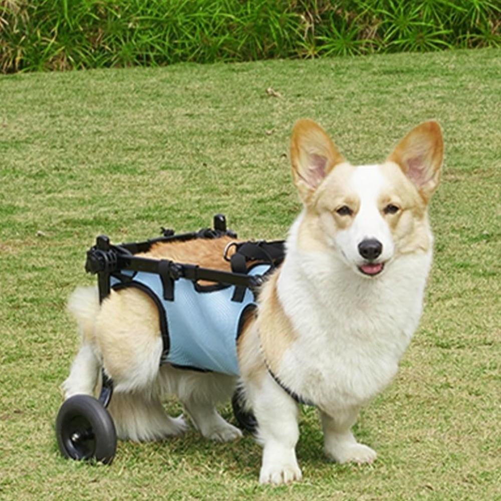 Adjustable Dog Wheelchair Comfortable Breathable Dog Mobility Scooter Hind Leg Support Assistance Scooter Pets Rehabilitation