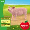 Schleich Ферма Мир Свинья 13933