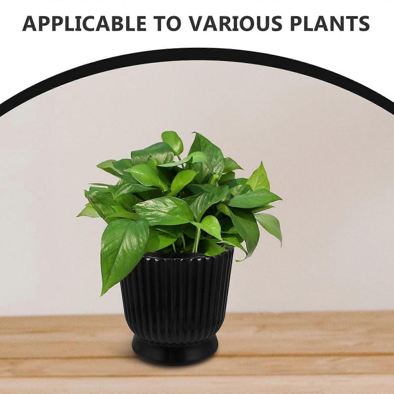 Watering Hydroponic Flower Pot with Self-Watering Design for Office Bonsai Succulents