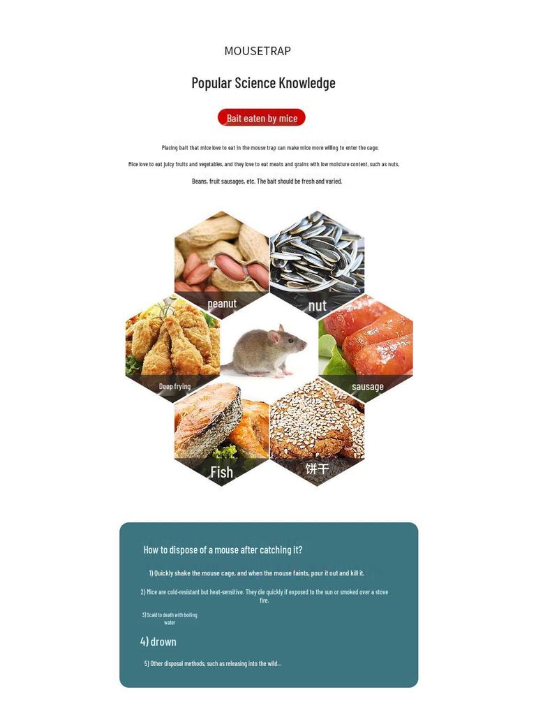 Indoor Automatic Mouse and Rat Trap for Continuous Catch and Extermination