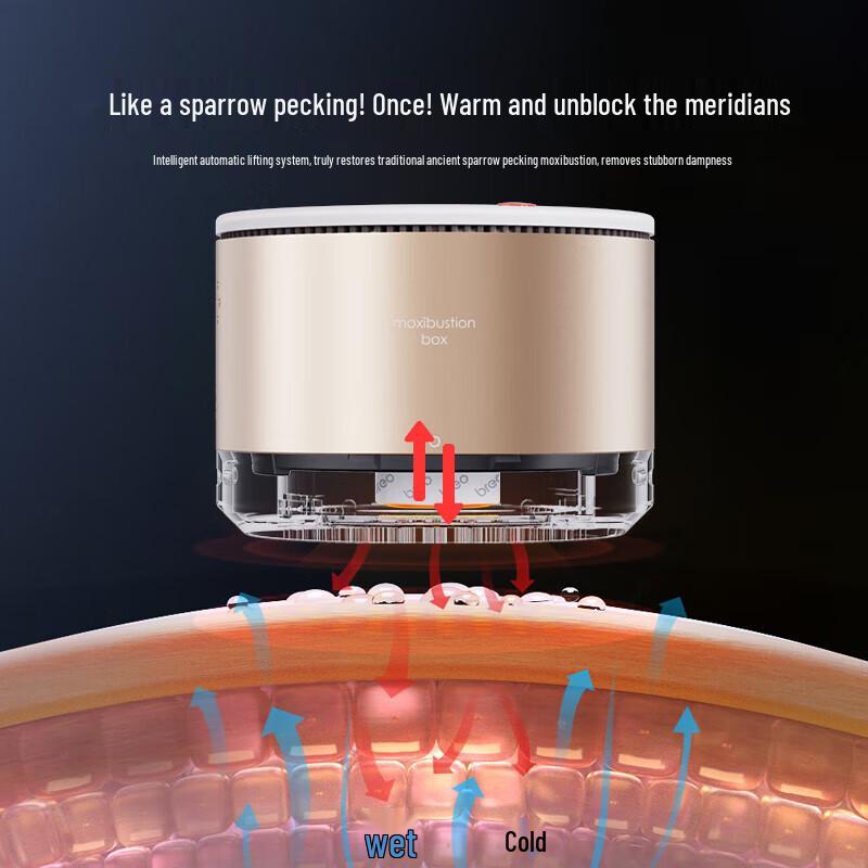 Breo A2 Electronic Moxibustion Device