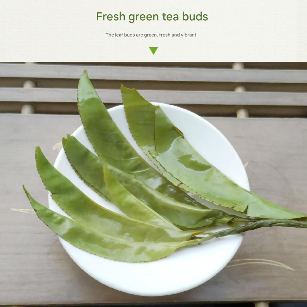 Высококачественный органический чай Кудин - настоящий чай Учжишань Кудин