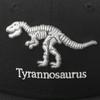 New Era New Era Детская кепка Tyrannosaurus Dinosaur YOUTH 950 TYRANNOSAURUS BLK Черный/спереди YOUTH52-56 см