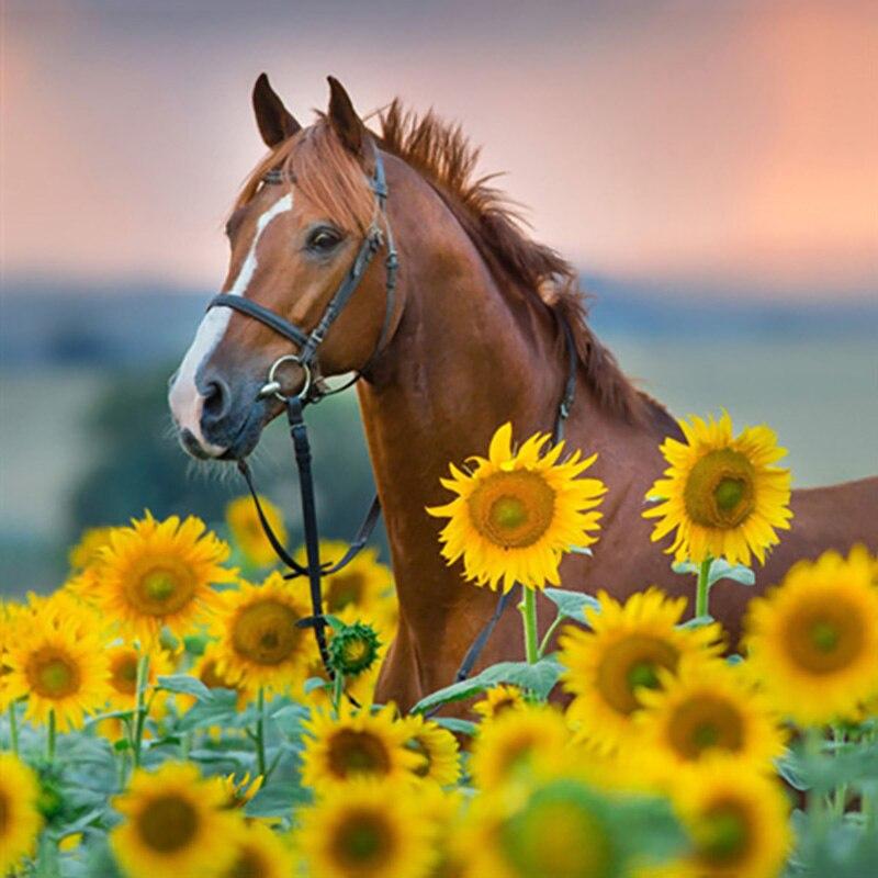 Новый 5D DIY алмазная живопись крупный рогатый скот Алмазная вышивка животные вышивка крестиком полная круглая дрель ремесла ручной домашний декор подарок