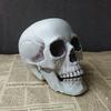 Halloween  Artificial Skull Head Model Skull Bone Scary Horror Skeleton Ornament