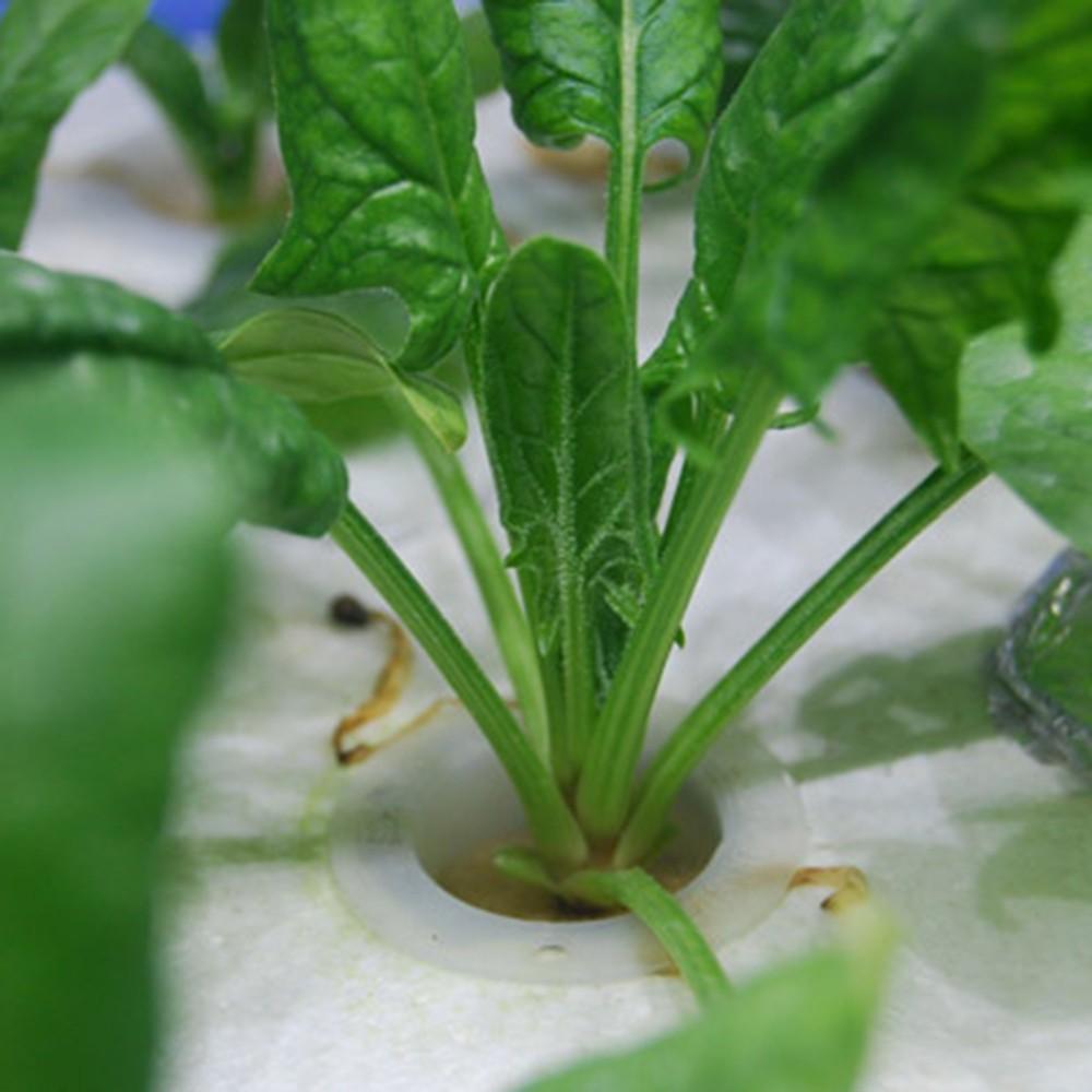 Сетчатый горшок Губка Многоразовый Открытый Беспочвенное выращивание Сельдерей Огурцы