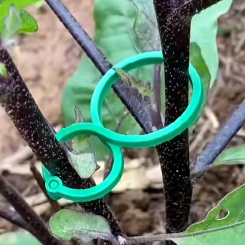 Gardening 8-figure Clip Garden Green Vine Fixation Clip Binding Device Garden Plant Stem Fixation Button