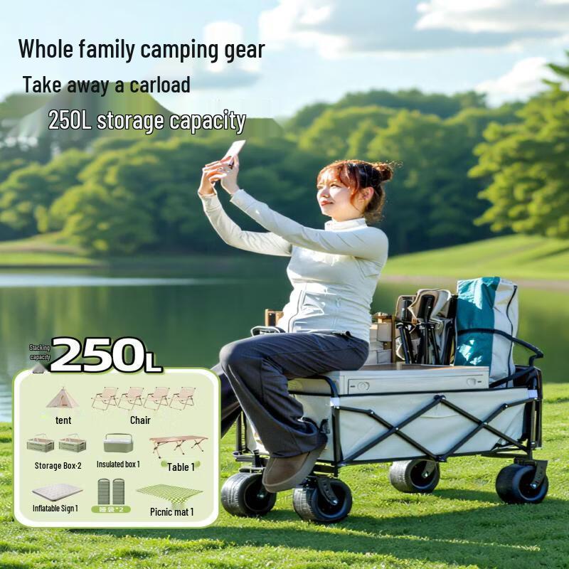 Heavy-Duty Folding Outdoor Camping Wagon with 10-Inch Wheels