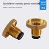 Jundingying Copper LPG Tank Leak-Proof Valve Plug