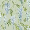 World Of Wallpaper Wisteria Wallpaper
