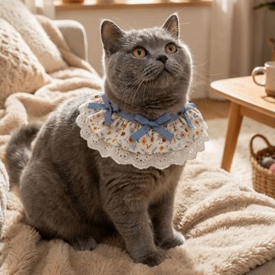 Кошки – Одежда для кошек