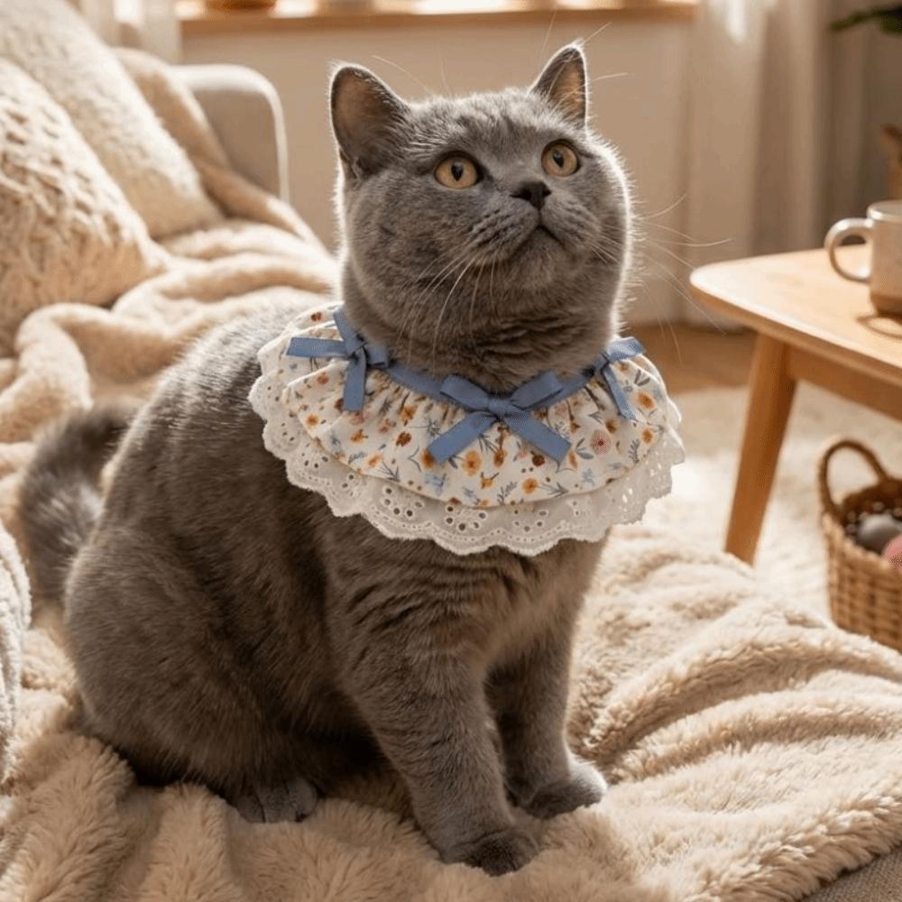 Cartoon Knitted Collar Lace Floral Bows Pet Bib Cute Cat Clothes Cat Accessories