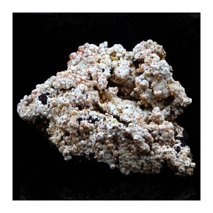 Pierres et Minéraux. Dundasite, Crocoite. 386.5 ct. Kapi Mine, North Dundas, Tasmania, Australie.