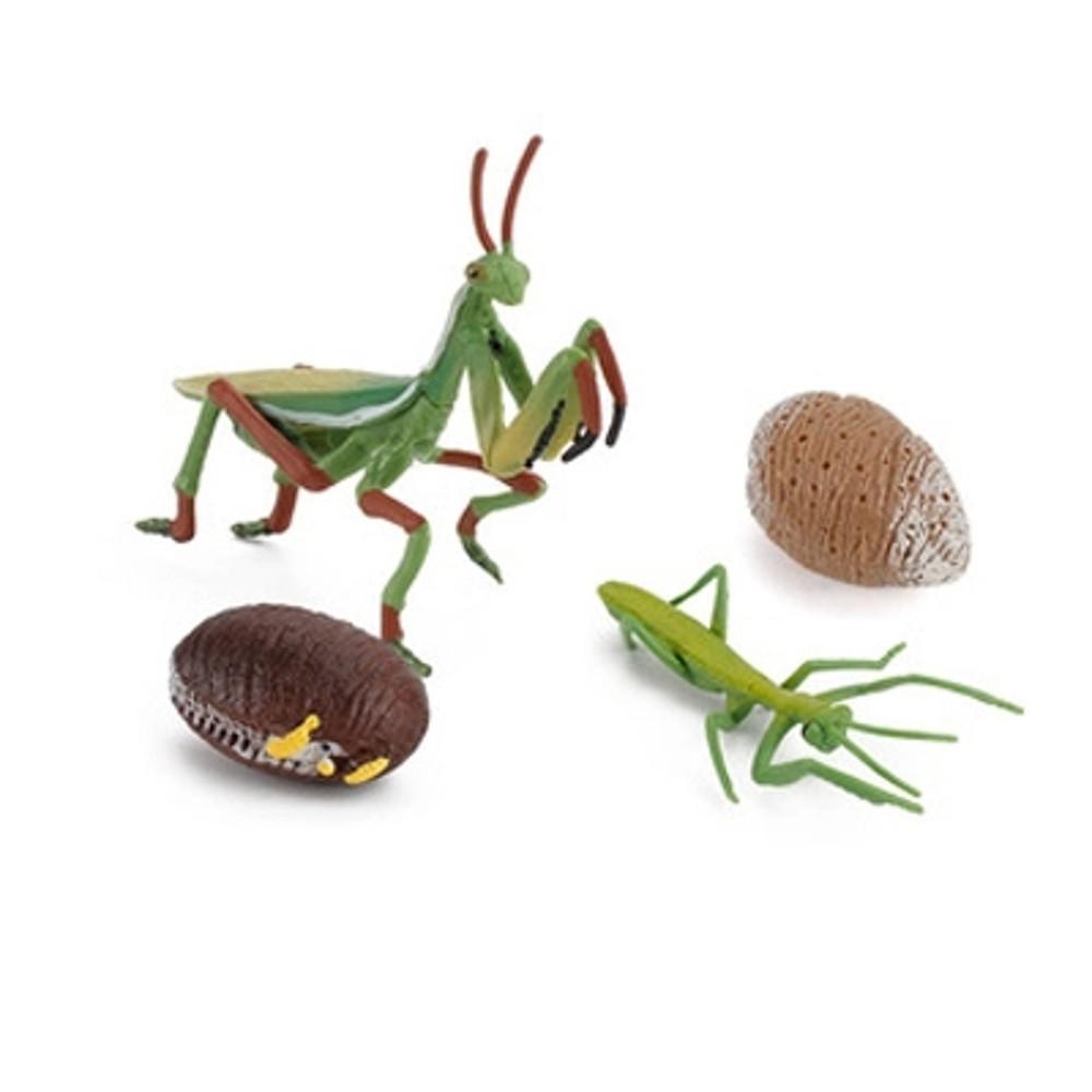 Kids Cognitive Snail Growth Cycle Cycle Mantis Figurine Praying Mantis Toy Life Cycle Figures