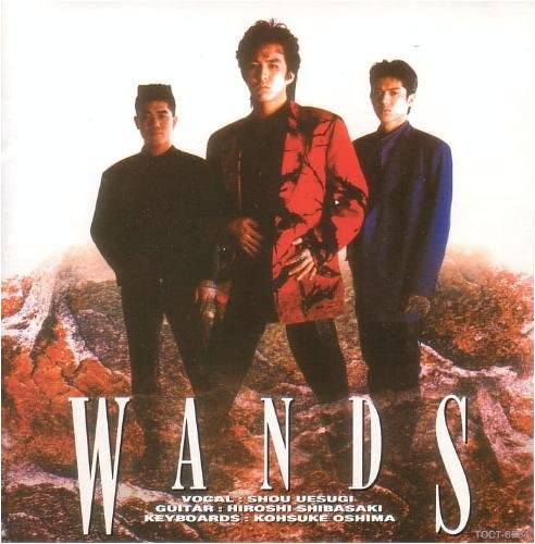 CD WANDS WANDS TOCT6504 TM Фабрика 1994 Япония Японский Поп-Рок Б/у