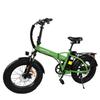 BAOLUJIE DZ2002 Adult Electric Bicycle 500W Motor Electric Bicycle 48V13AH Battery 20 Inch Tire City Commuter Electric Bicycle