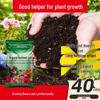 Nutrient-Rich Soil for Flowers & Vegetables - Ideal for Household Gardening
