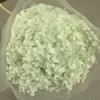 Phantom Flower: Single 20CM Preserved Hydrangea, Handmade Dried Bouquet for Decoration